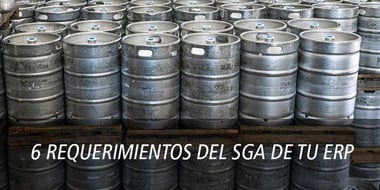 6 REQUERIMIENTOS DEL SGA DE TU ERP