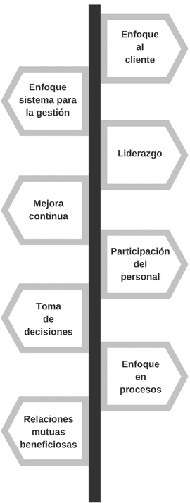 principios de la gestion de calidad