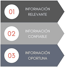 Requerimientos Informacion ERP