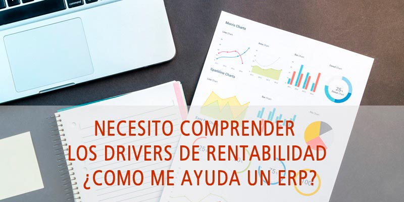 drivers de rentabilidad