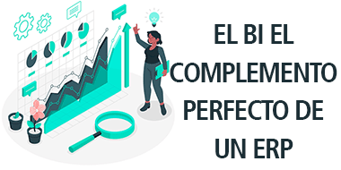el bi complemento perfecto erp