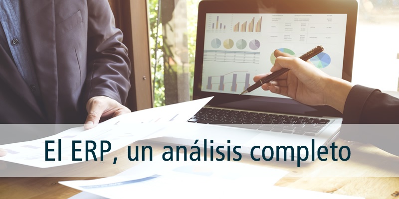 erp analisis