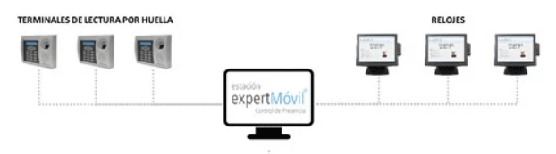 erp expertmovil