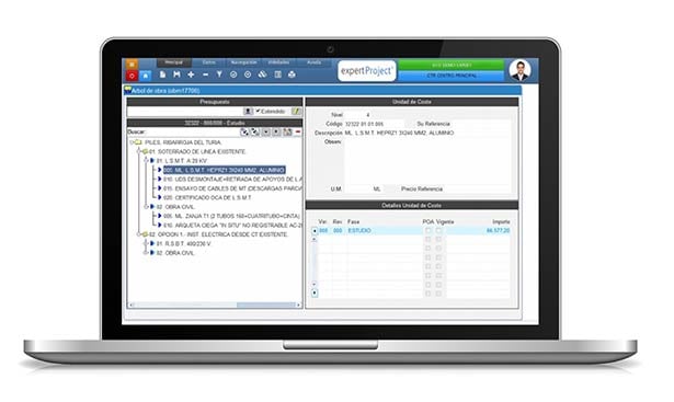 erp proyectos