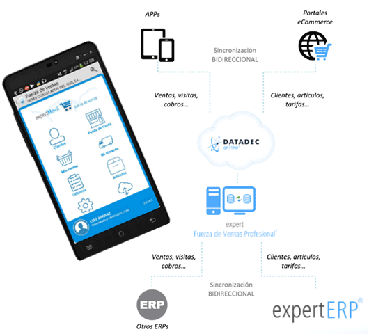 expert fuerza ventas 