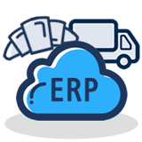 ERP sectorial