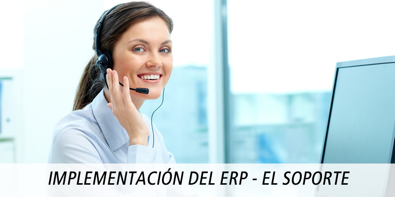 implementacion erp soporte