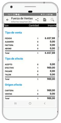 informe resumen
