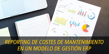 reporting costes mantenimiento erp
