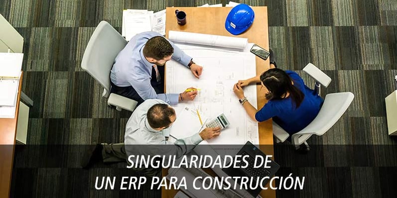 singularidades de un erp construccion