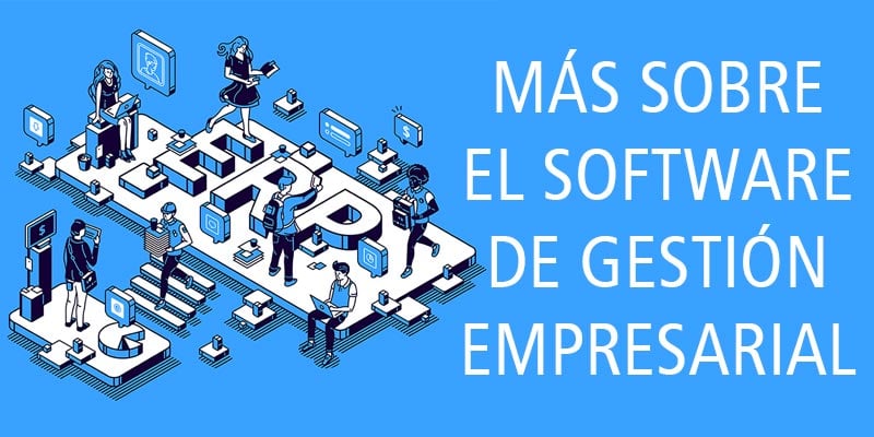 MÁS SOBRE EL SOFTWARE DE GESTIÓN EMPRESARIAL ERP ONLINE