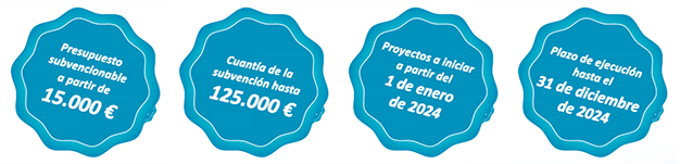 tipo ayudas digitaliza 2024