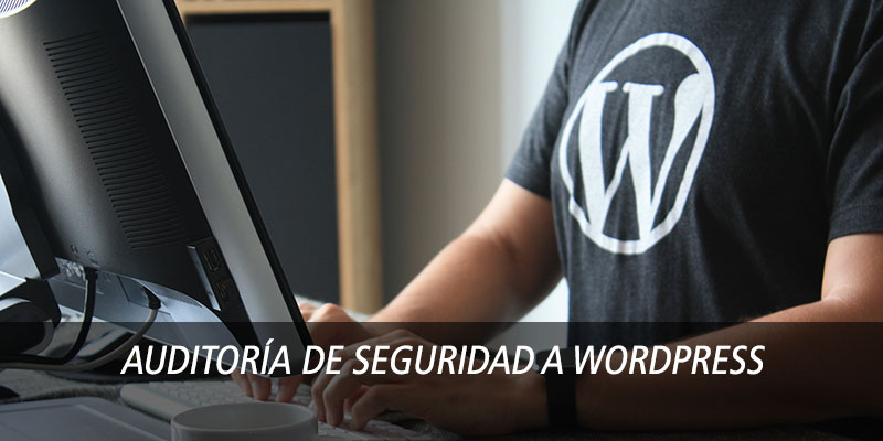 auditoria wordpress