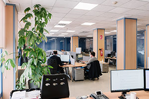 ddol_equipo_02