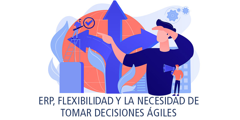 ERP, FLEXIBILIDAD Y LA NECESIDAD DE TOMAR DECISIONES ÁGILES