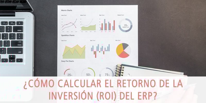 retorno inversion erp roi