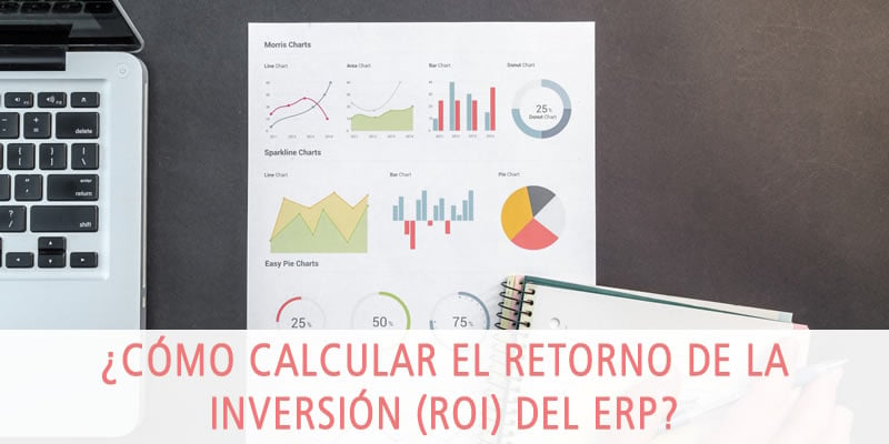 retorno inversion erp roi